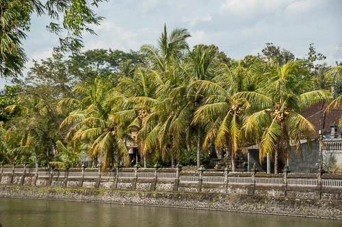 dsc_6164.jpg