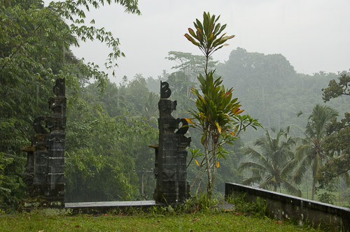 dsc_6276.jpg