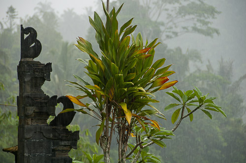 Relacja z podróży do Indonezji