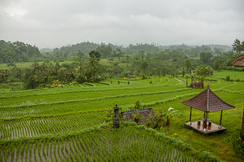 dsc_6321.jpg