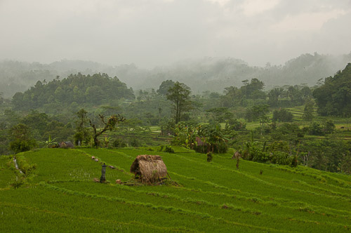 dsc_6325.jpg