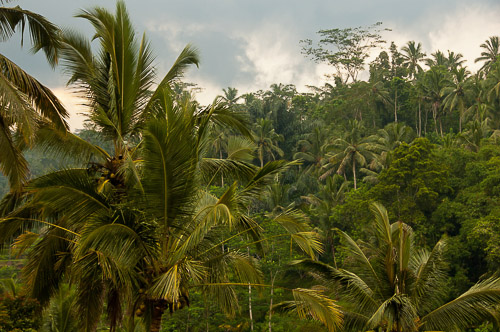 dsc_6370.jpg