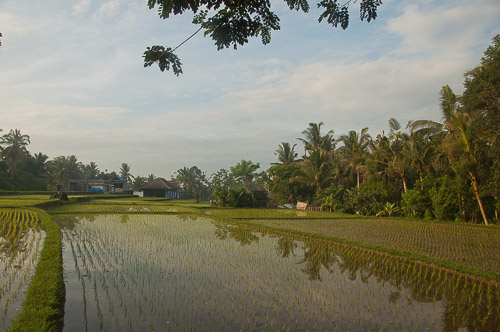 dsc_6480.jpg