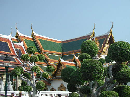 p2032392.jpg