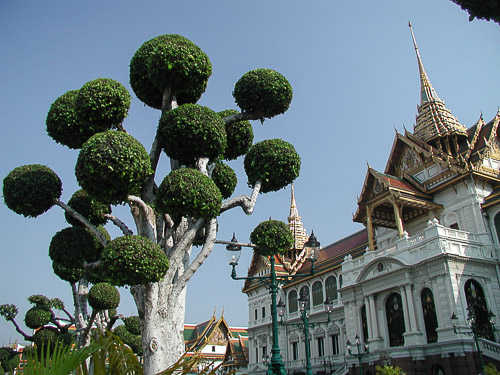 p2032412.jpg