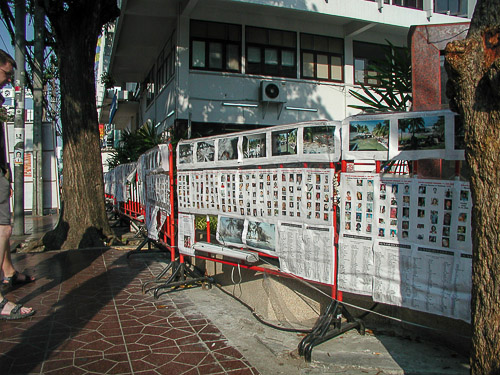 p2042504.jpg