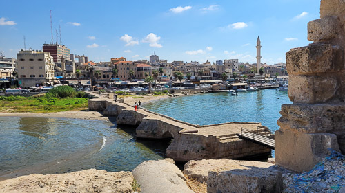 DSC_4213.jpg