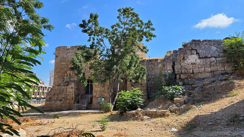 DSC_4273.jpg