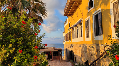 DSC_4384a.jpg