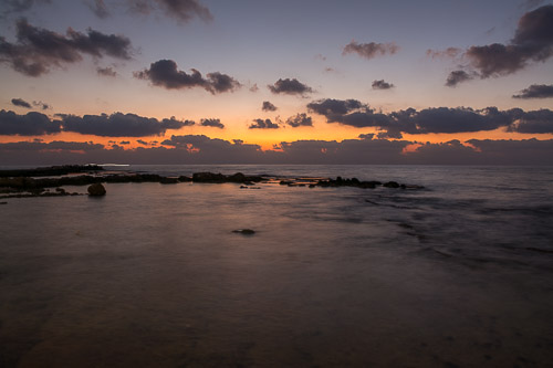 DSC_4391.jpg