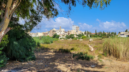 DSC_4401.jpg