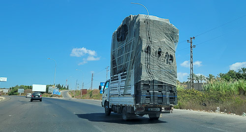 DSC_4525.jpg