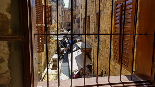 DSC_4558.jpg