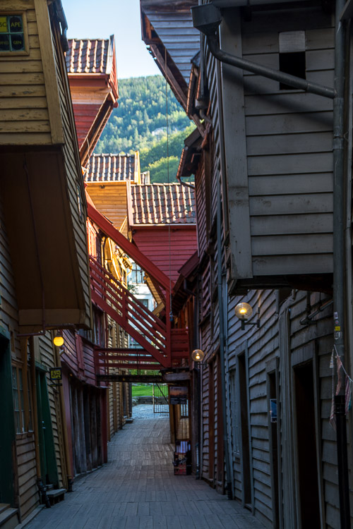 DSC_8341.jpg