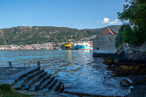 DSC_8396.jpg