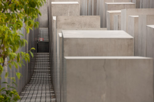 dsc_7910.jpg
