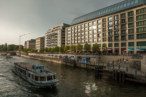 dsc_7981.jpg