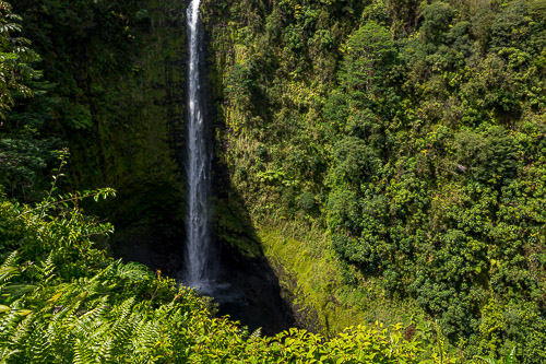 DSC_7334.jpg
