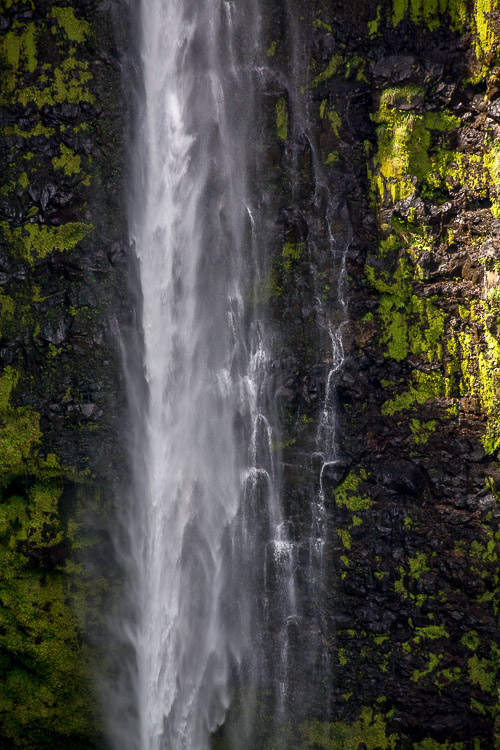 DSC_7336.jpg