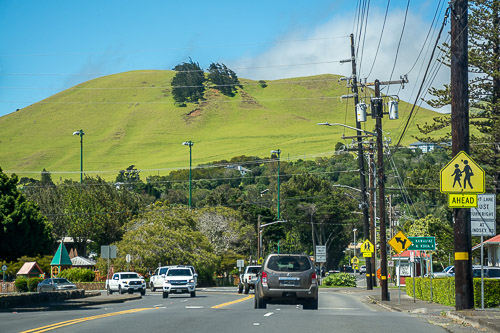 DSC_7398.jpg