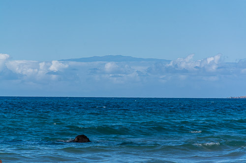 DSC_7428.jpg