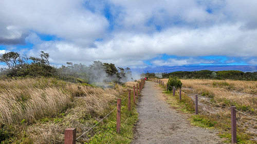 DSC_7500_20240220_112734.jpg