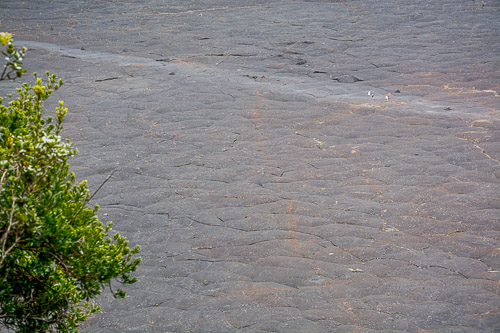 DSC_7529.jpg