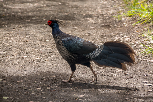 DSC_7543.jpg