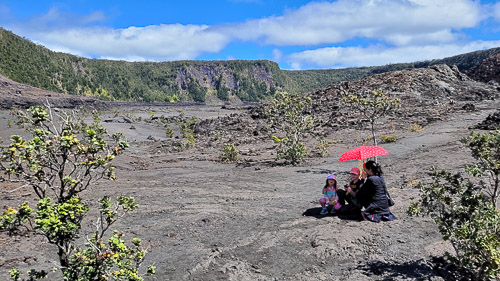 DSC_7555_20240220_132502.jpg