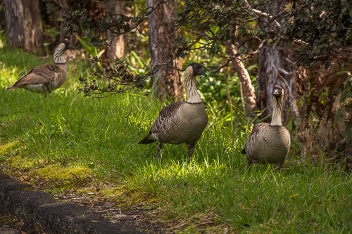 DSC_7578.jpg