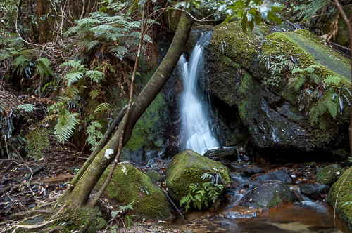 dsc_8753.jpg