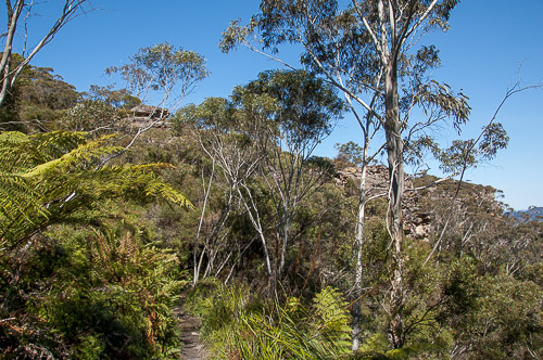 dsc_8801.jpg