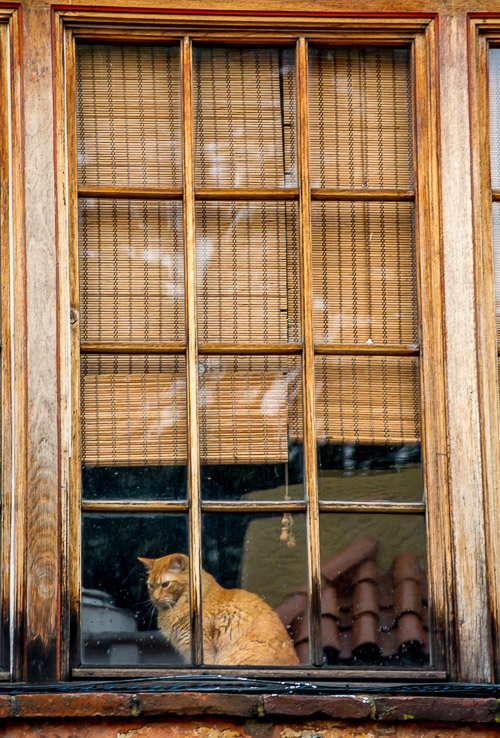 DSC_5787.jpg