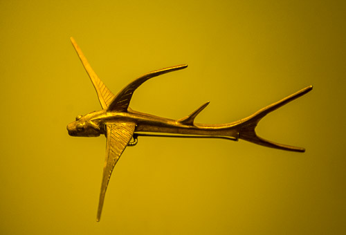 DSC_5835.jpg