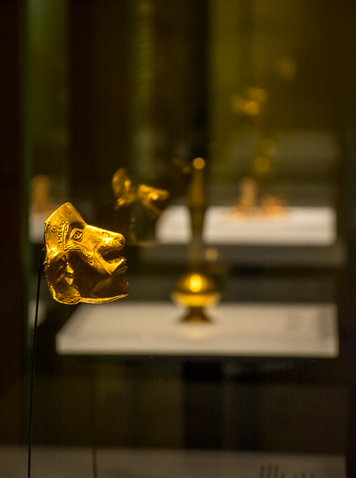 DSC_5842.jpg