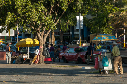 dsc_4039.jpg