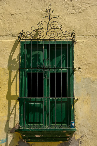 dsc_4155.jpg