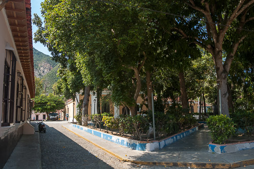 dsc_4172.jpg