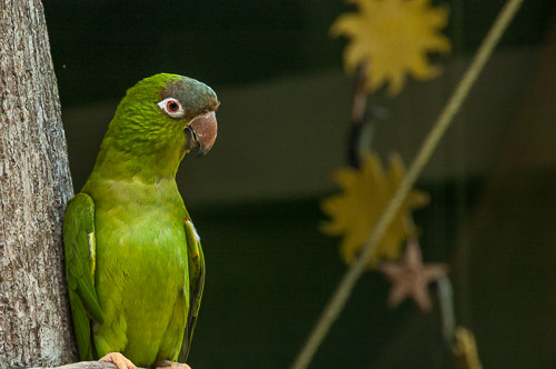 dsc_4191.jpg