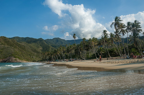dsc_4216.jpg