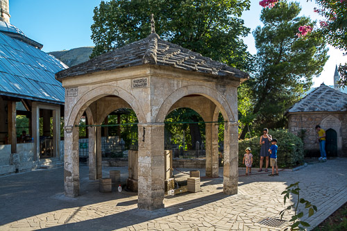 dsc_6254.jpg
