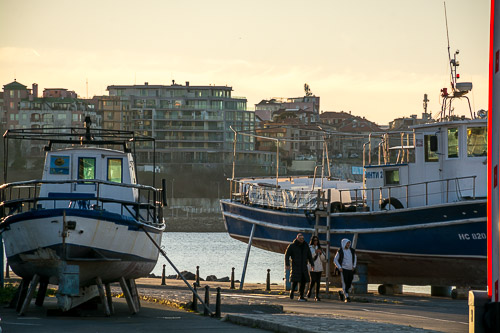 DSC_8696.jpg