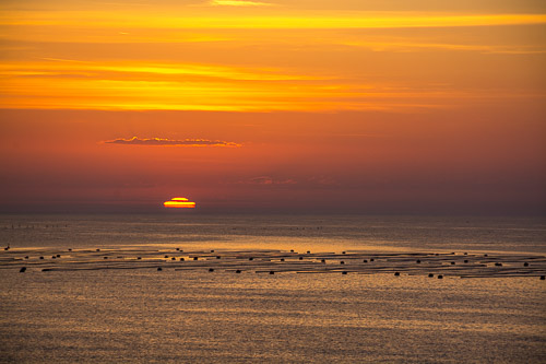 DSC_8906.jpg