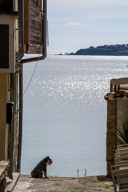 DSC_9011.jpg