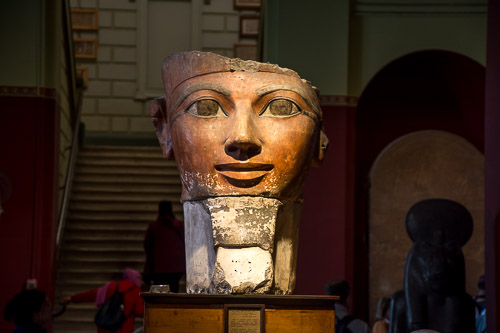 DSC_6871.jpg