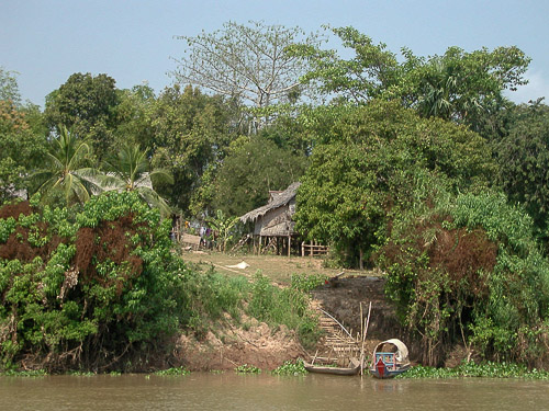 p1262154.jpg