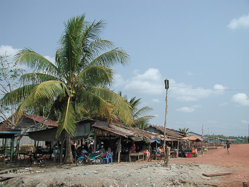 p1282224.jpg