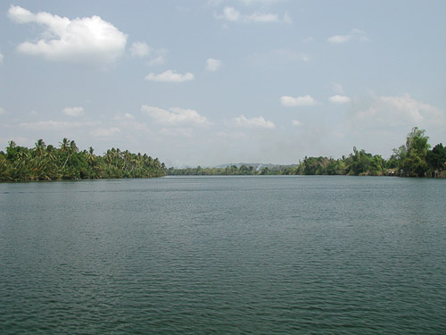 p1282241.jpg