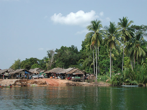 p1282242.jpg