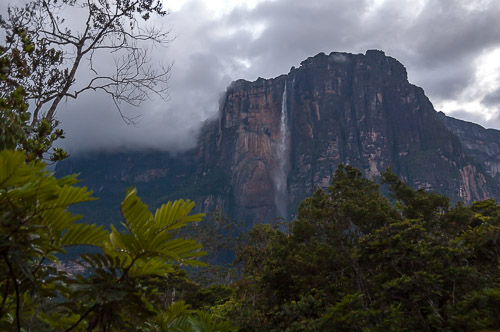 dsc_3934.jpg
